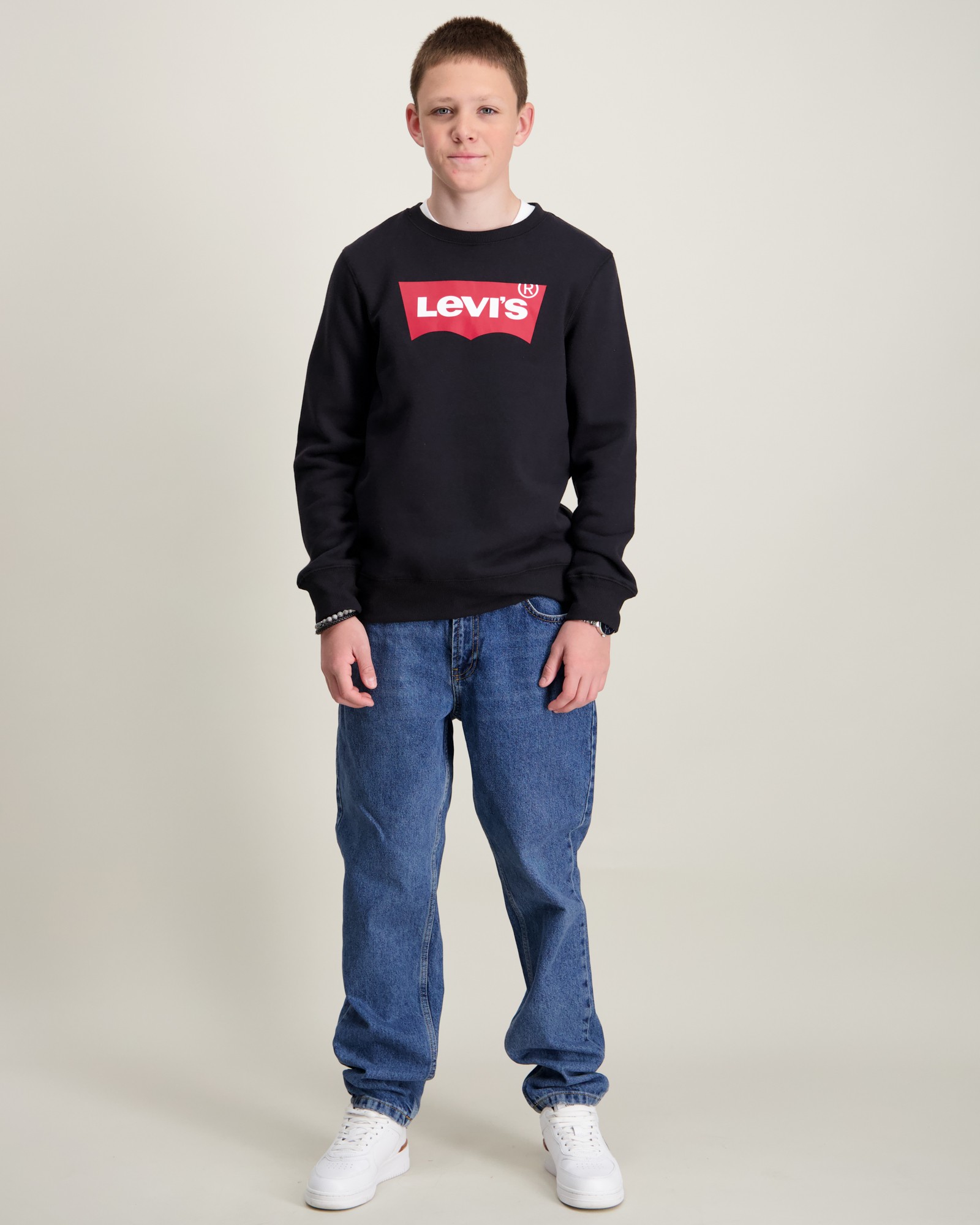 Levi's Lvb Batwing Screenprint Hoodie sweatshirt jongens, Grijze